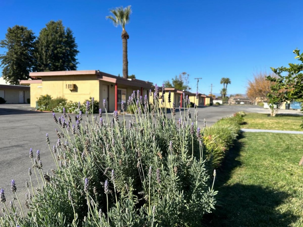 Royal Inn and Suites